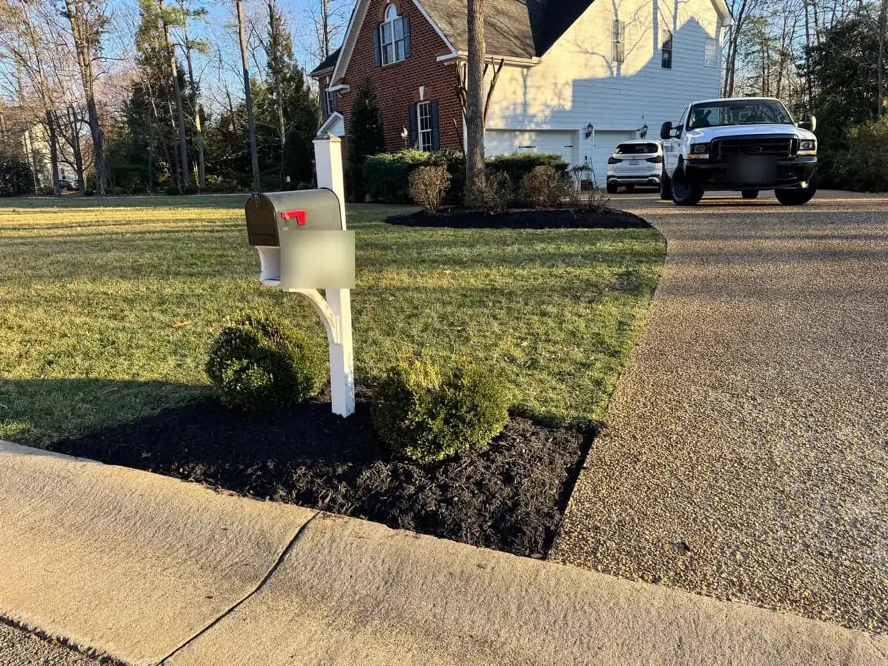 Fresh mulch around boxwoods at the edge of a front yard