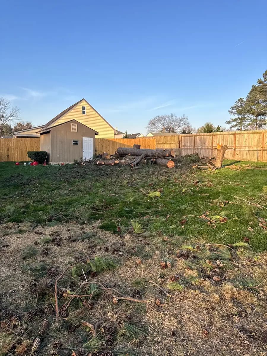 Backyard cleared of trees with cut logs stacked by the fence