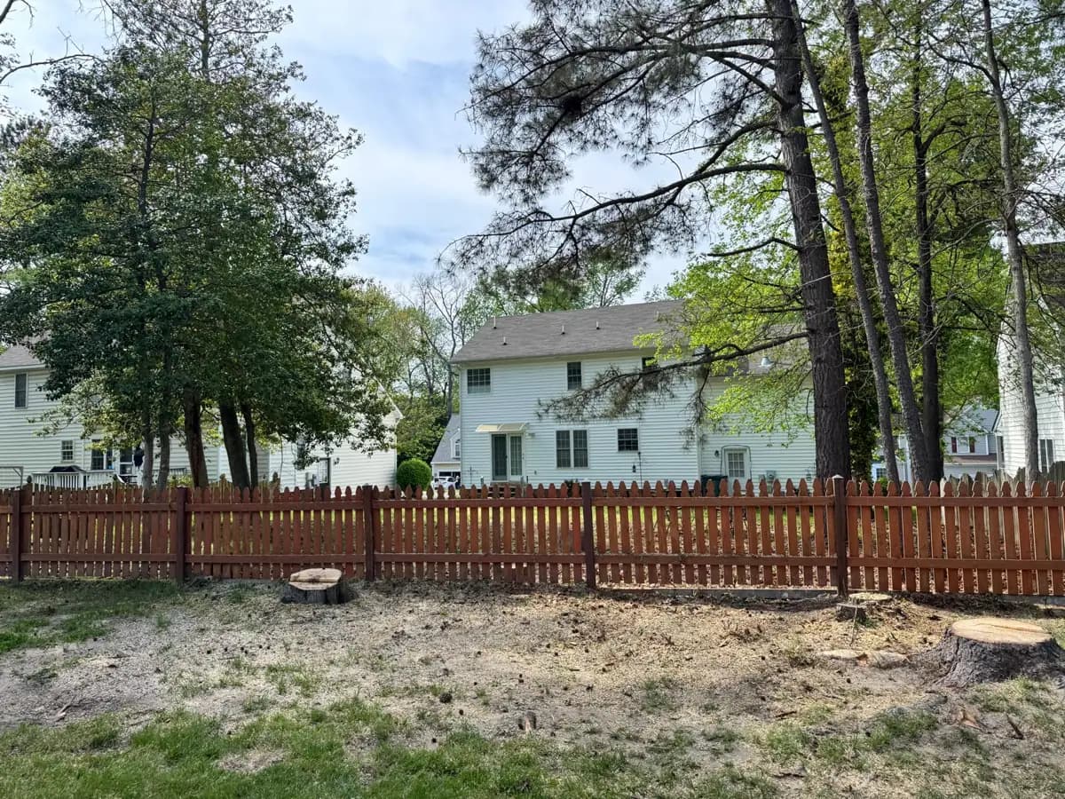 After: the same backyard cleared, with stumps cut low and the fence untouched